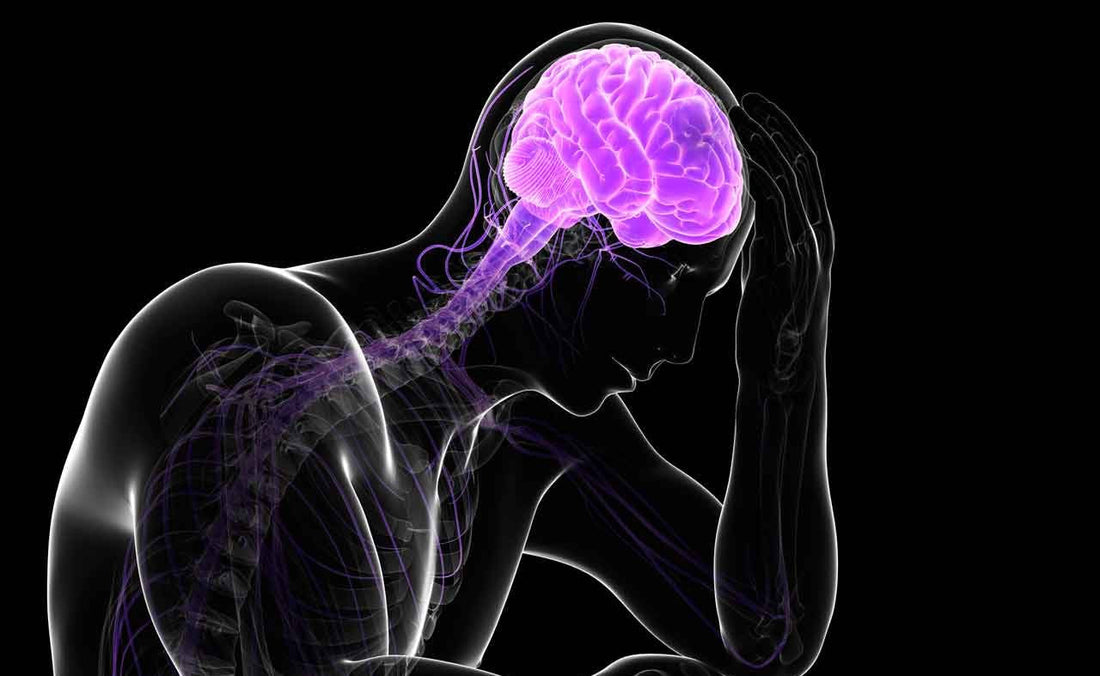Depression Explained: Symptoms, Causes, and Next Steps