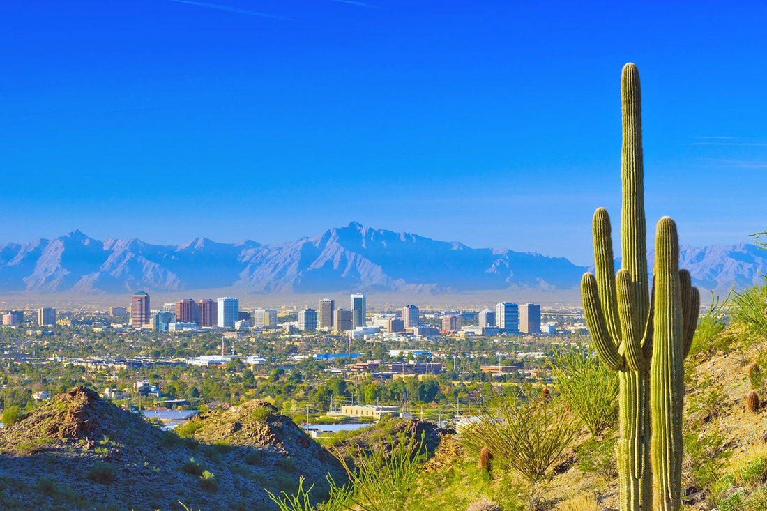 10 Best Gyms in Phoenix