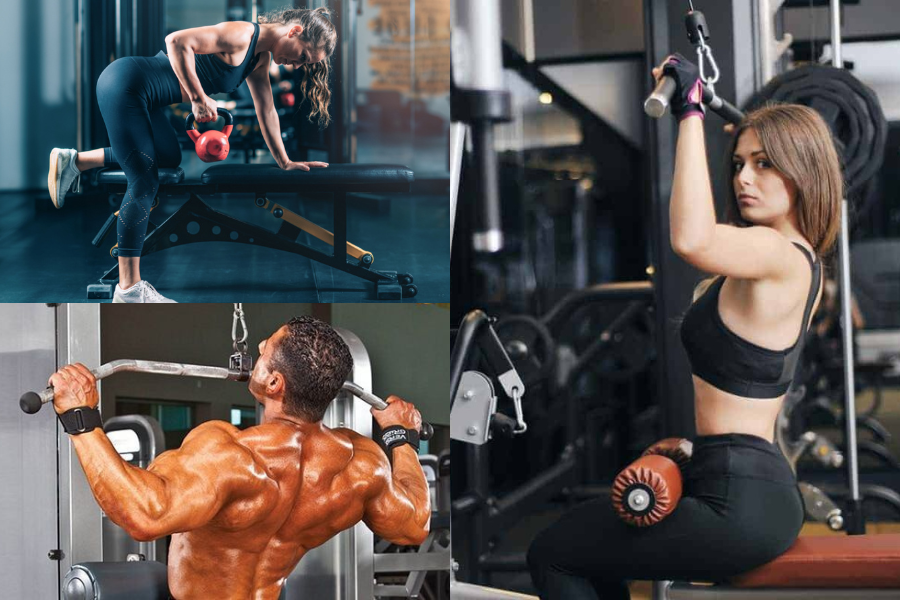 Back Exercises: Build Strength, Size, and Better Posture