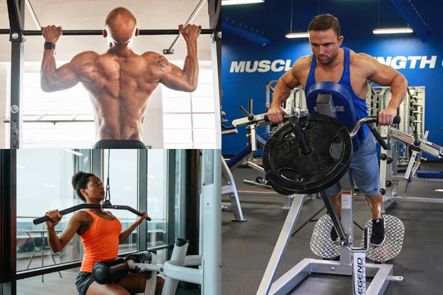 Dumbbell Back Exercises for Building Muscle at Home