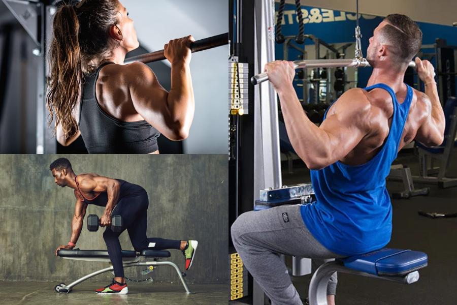 Lower Back Exercises for Strength, Stability, and Support