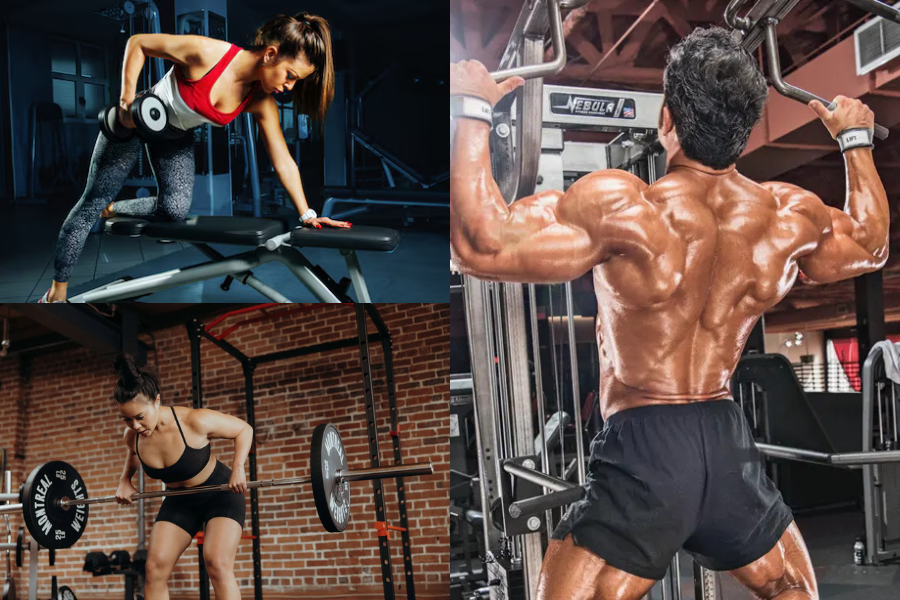 Back Exercises for Lower Back Pain That Feel Safer