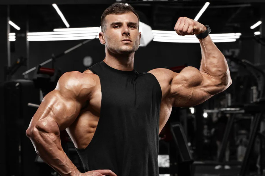 Dumbbell Curls vs Hammer Curls vs Preacher Curls