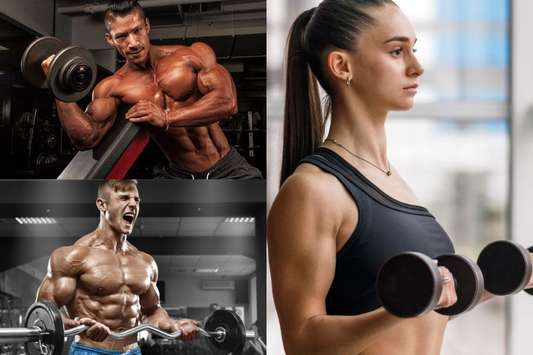 Best Bicep Exercises for Beginners You Can Do at Home
