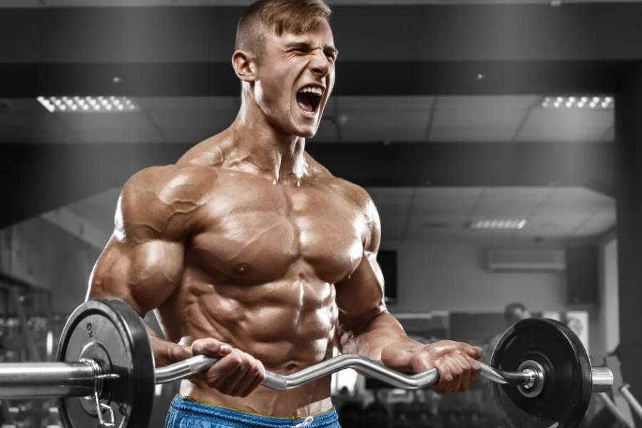 How the Bicep Curl Hammer Boosts Your Arm Strength Fast