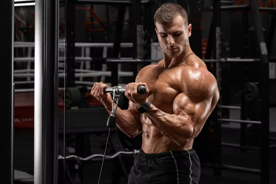 Bicep Workouts That Make Your Arms Stand Out