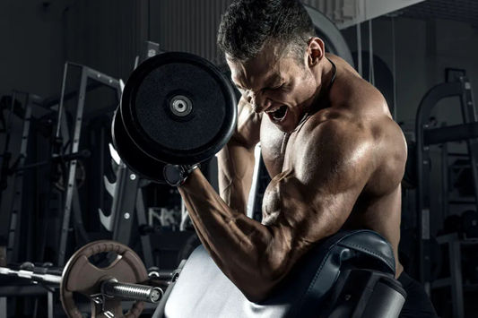 Brachialis Exercises for Thicker, Fuller-Looking Arms