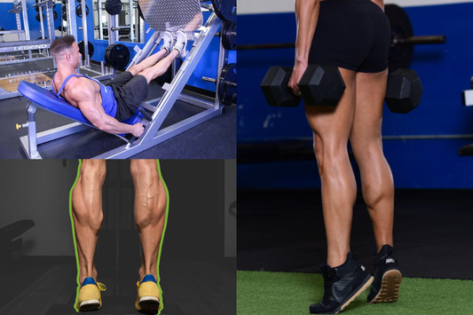 Seated Calf Raises: The Best Move for Bigger Calves