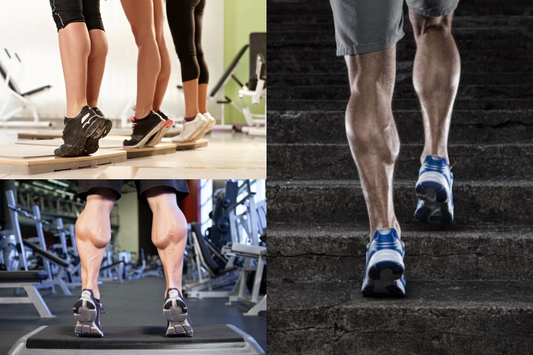Gastrocnemius vs Soleus: The Two Calf Muscles Explained