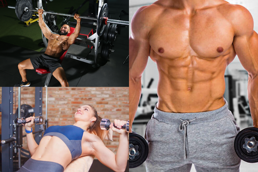 Chest Exercises That Actually Build Size and Strength