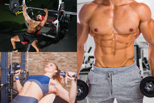 Chest Exercises That Actually Build Size and Strength