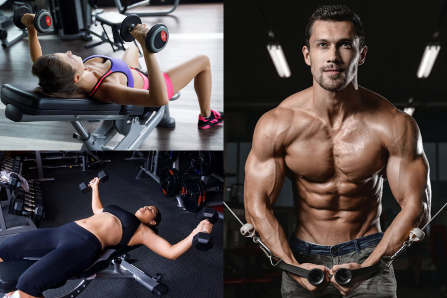 Chest Day Exercises: Dumbbells, Barbells, or Bodyweight?
