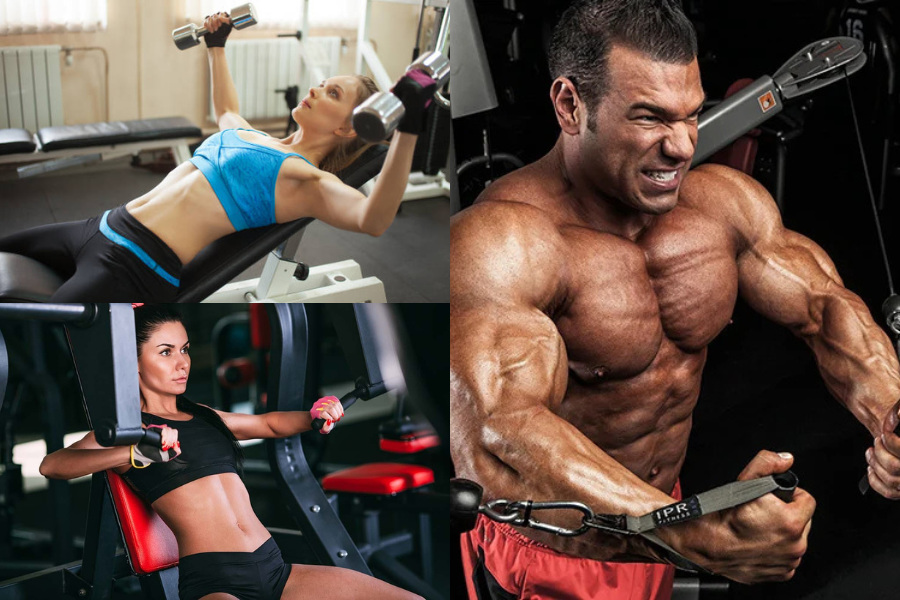 The Best Home Chest Workout for Real Muscle Growth