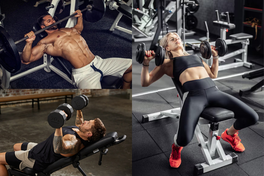 Chest Anatomy Explained: Upper, Middle, and Lower