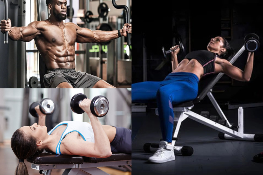 Proper Bench Press Form: Build Strength Without Pain