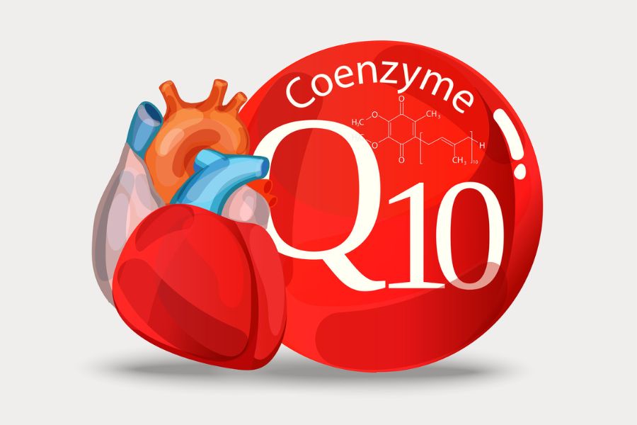 What Does Coenzyme Q10 Do? A Clear, Simple Breakdown