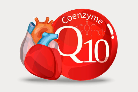 What Does Coenzyme Q10 Do? A Clear, Simple Breakdown