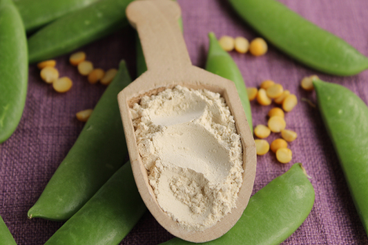 What Is Pea Protein Made From? The Process Explained