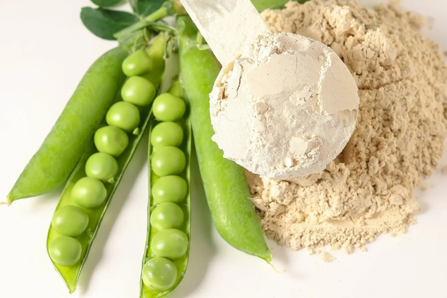 Pea Protein for Muscle Recovery: What to Expect
