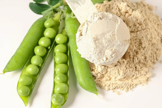 Pea Protein for Muscle Recovery: What to Expect