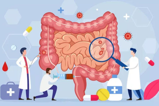 Probiotics vs Prebiotics: What’s the Real Difference?