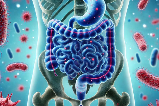 Probiotics and Bloating: Why It Happens at First