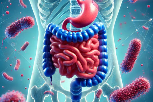 Probiotics for Digestive Health: What They Actually Do