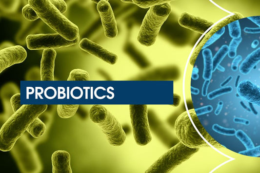 Can You Take Probiotics Every Day? Here's the Answer