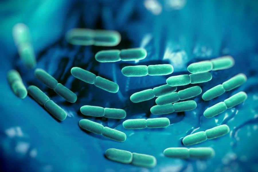 Daily Probiotics: What Long-Term Use Looks Like