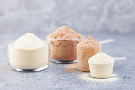 Best Casein Protein Powders: What to Look For Before You Buy