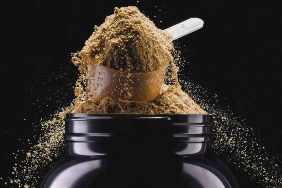 Benefits of Casein Protein Powders for Muscle Recovery and Daily Nutrition