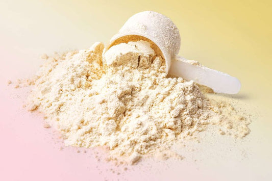 How Whey Protein Is Made, From Milk to Powder