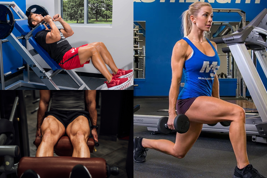 Knee-Friendly Quad Exercises That Still Build Serious Leg