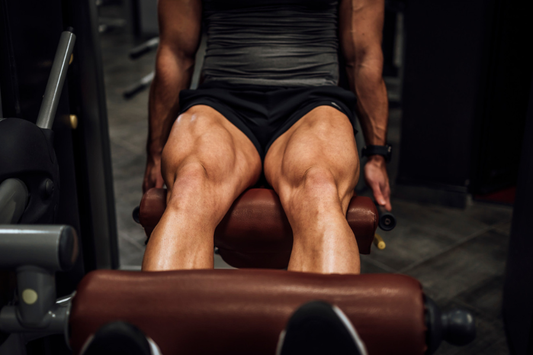 Hack Squat vs Squat: Which Hits Your Quads Harder?