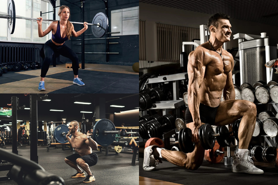 Front Squat vs Back Squat: Which Builds Quads Better?