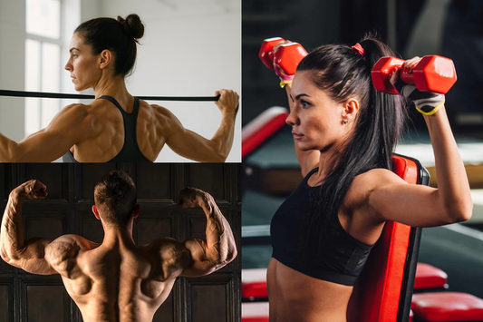 Side Delt Workout for Wider, Rounder Shoulders