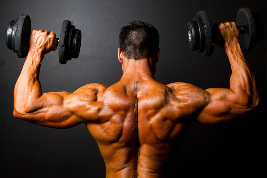 Rear Delt Exercises That Finally Make Them Work