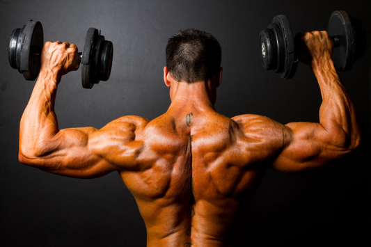 Rear Delt Exercises That Finally Make Them Work