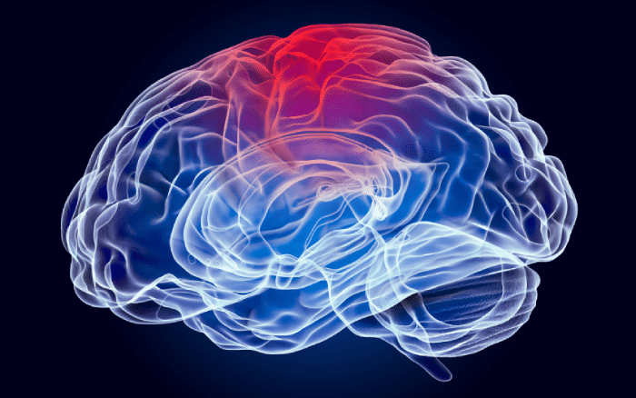 The Surprising Facts You Didn’t Know About Bipolar Disorder