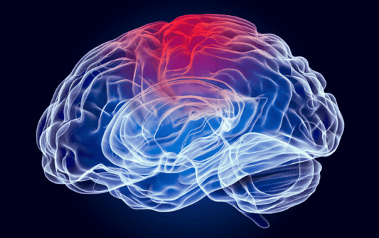 The Surprising Facts You Didn’t Know About Bipolar Disorder