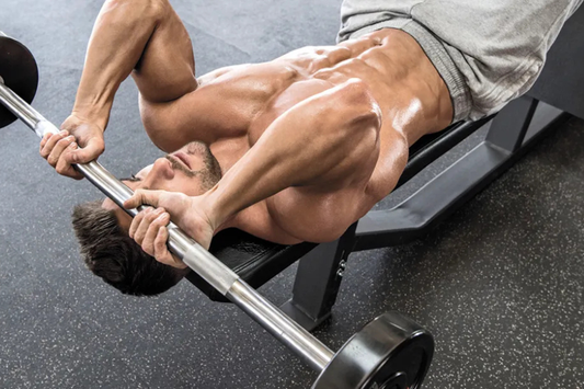 Long Head Triceps: How to Build the Biggest Section