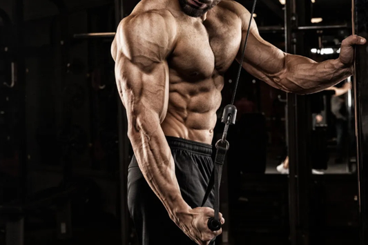 Unlock Powerful Arms with This Proven Tricep Workout