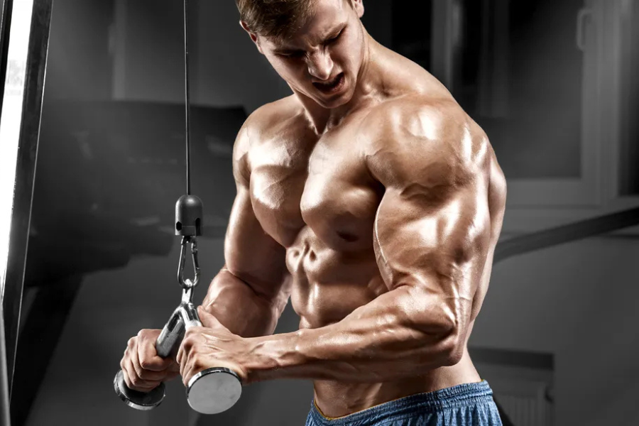 The Best Ways to Train Tricep and See Quick Results
