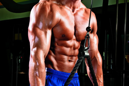 The Best Tricep Muscle Exercise for Strong, Toned Arms