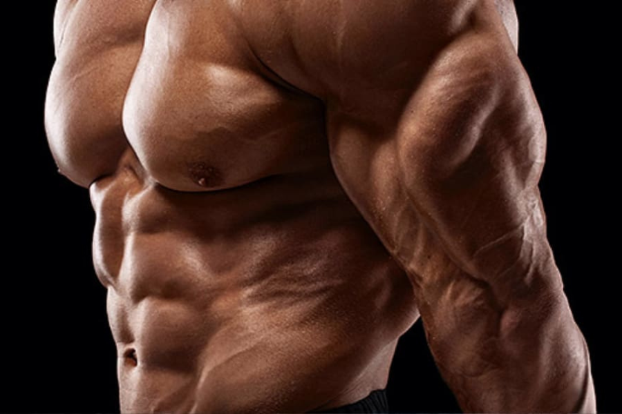 Tricep Muscle Workout Techniques Experts Recommend Daily