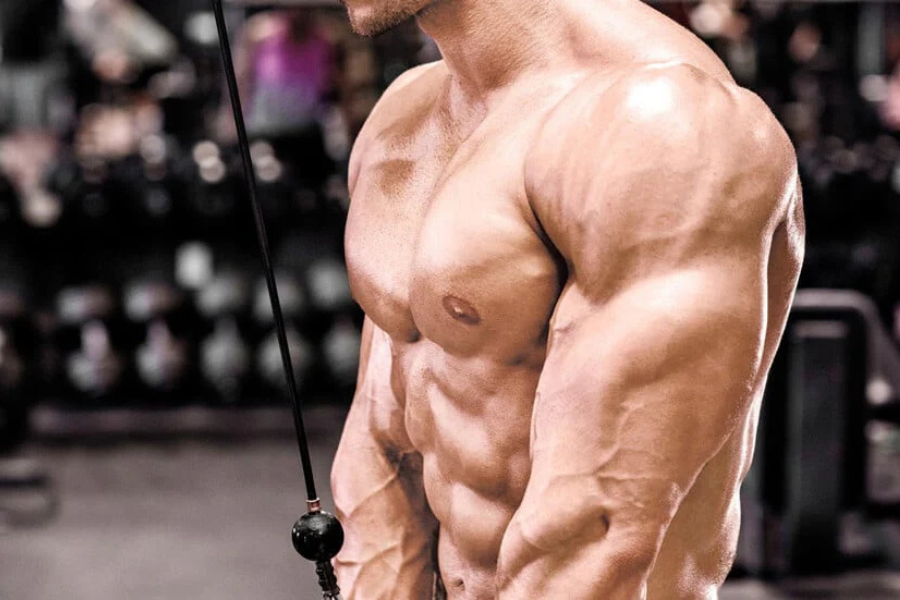 Dips for Triceps: The Best Way to Build Bigger Arms?