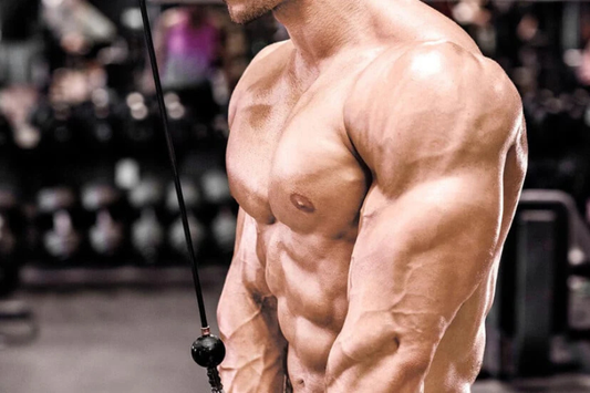 Dips for Triceps: The Best Way to Build Bigger Arms?
