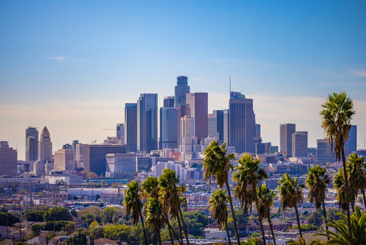 10 Best Gyms in Los Angeles