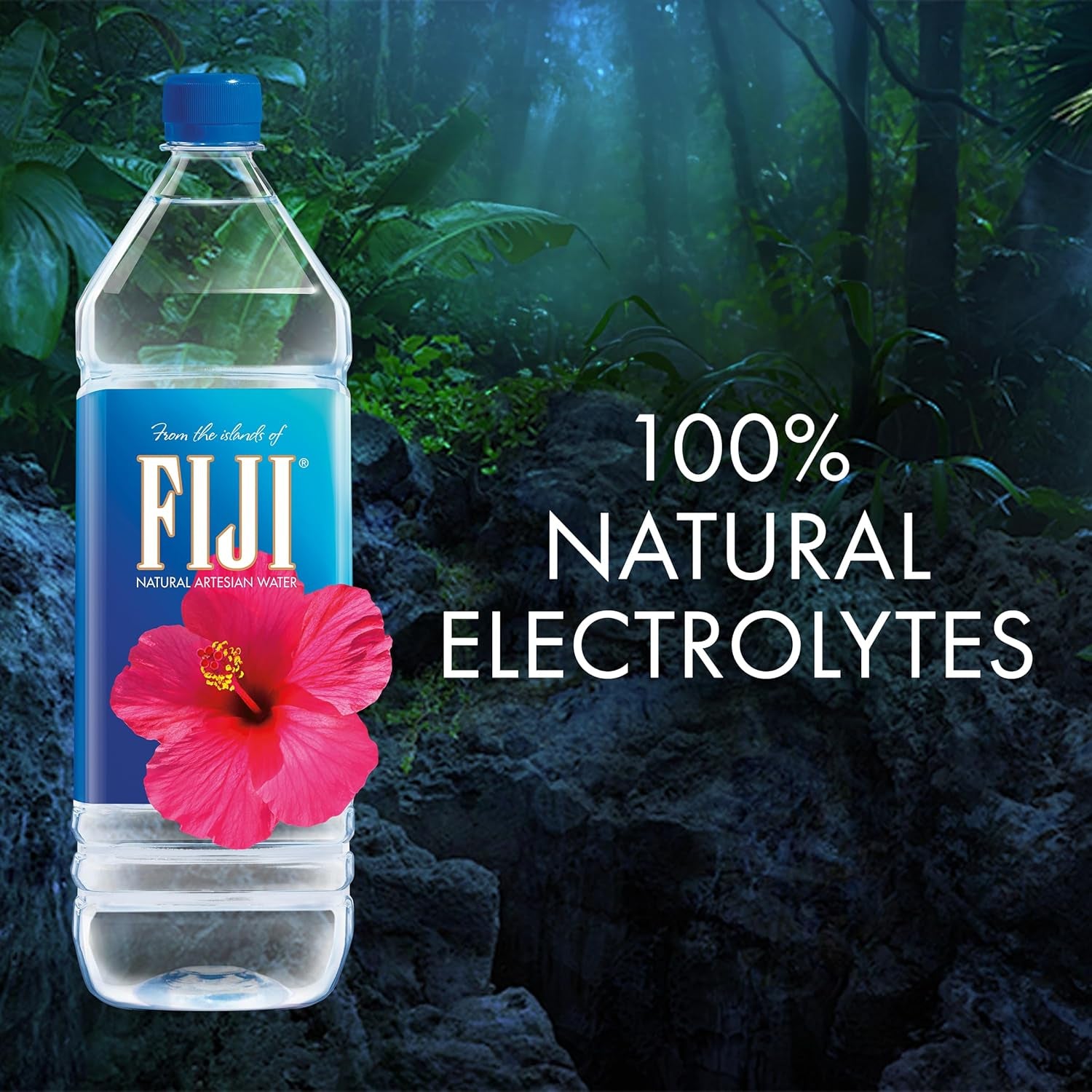 FIJI Natural Artesian Bottled Water 1.5 Liters (Pack of 12)
