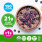 Orgain Organic Vegan Protein Powder